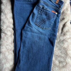 7 For All Mankind Dojo 26